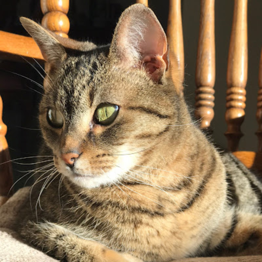 Meet your Posher, Audrey